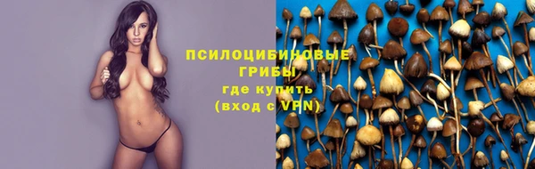 mix Богородск