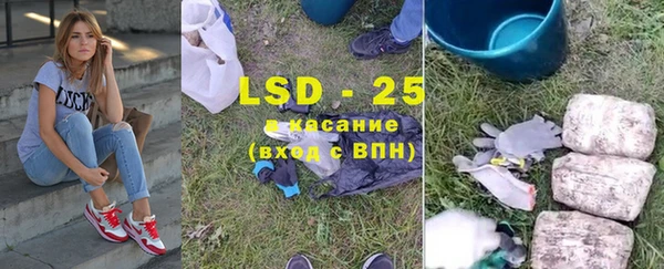 мдпв Богданович