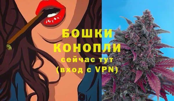 мдпв Богданович